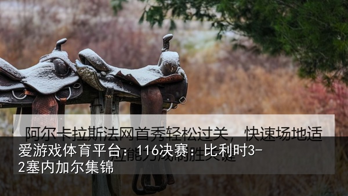 爱游戏体育平台：116决赛：比利时3-2塞内加尔集锦