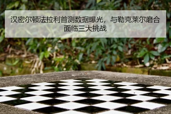 han-mi-er-dun-fa-la-li-shou-ce-shu-ju-bao-guang-yu-lei-ke-lai-er-mo-he-mian-lin-san-da-tiao-zhan-2-385.jpg