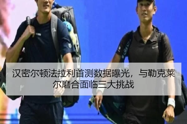 han-mi-er-dun-fa-la-li-shou-ce-shu-ju-bao-guang-yu-lei-ke-lai-er-mo-he-mian-lin-san-da-tiao-zhan-3-340.jpg