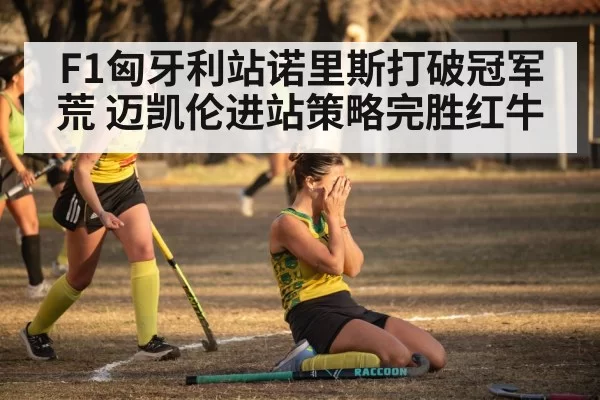 F1匈牙利站诺里斯打破冠军荒 迈凯伦进站策略完胜红牛